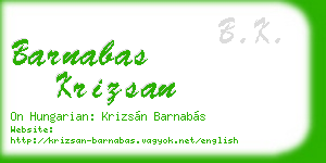 barnabas krizsan business card
