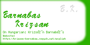 barnabas krizsan business card